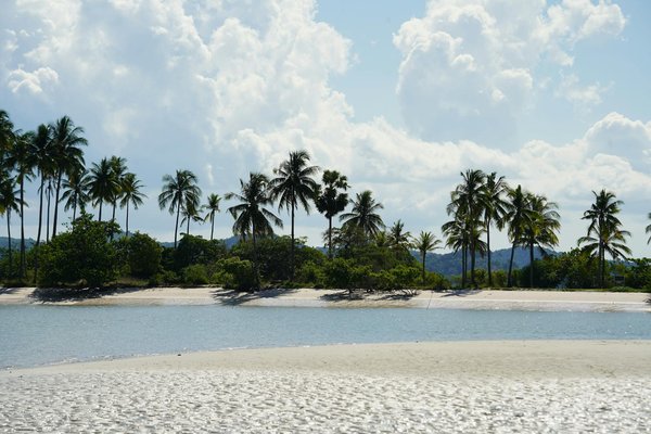 Wie kÃ¶nnen Sie die Umweltfreundlichkeit Ihrer Ferienwohnung verbessern?
